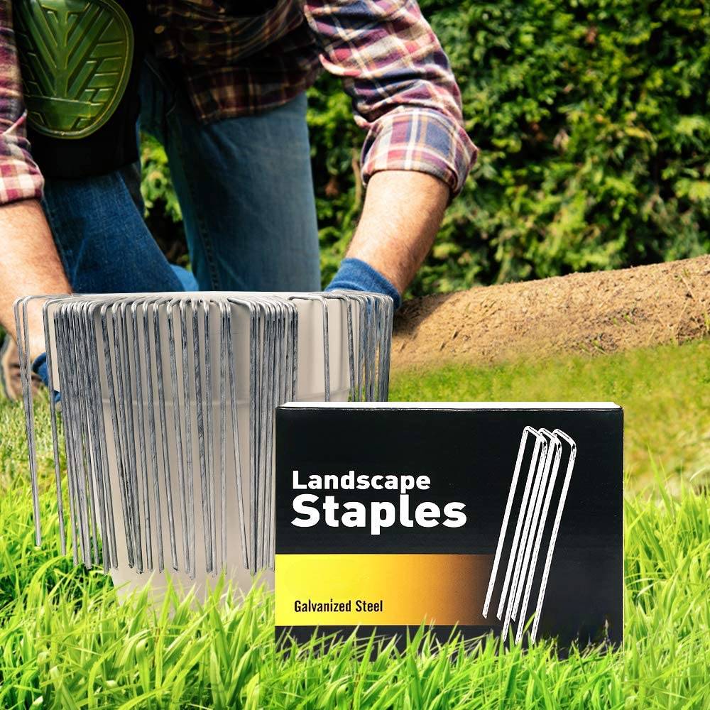 Ground Staples: image 2