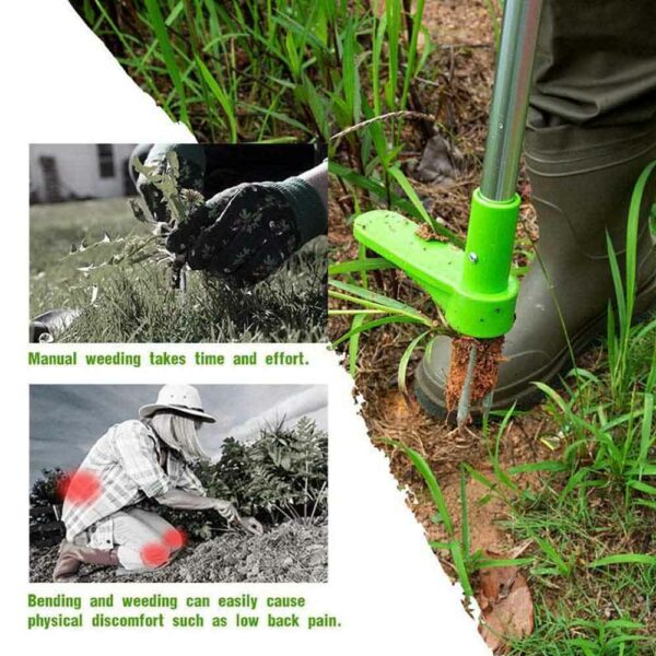 weed puller grass remover buy online