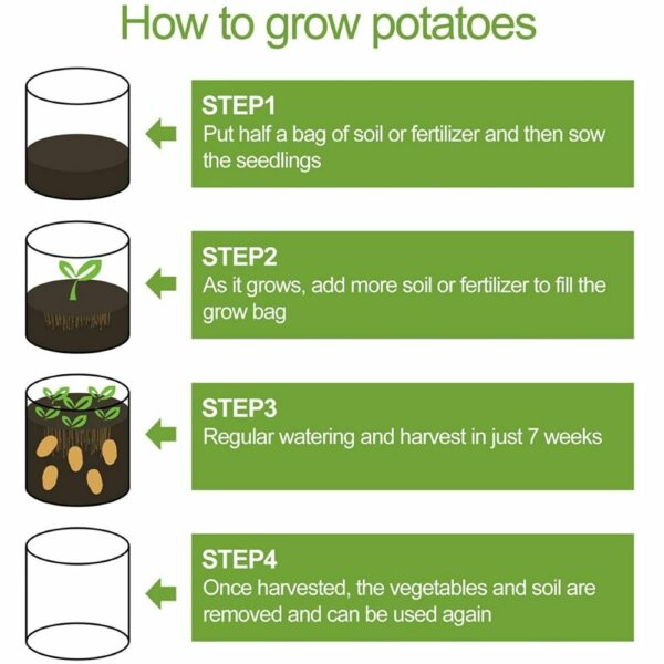 plant potato in grow bag