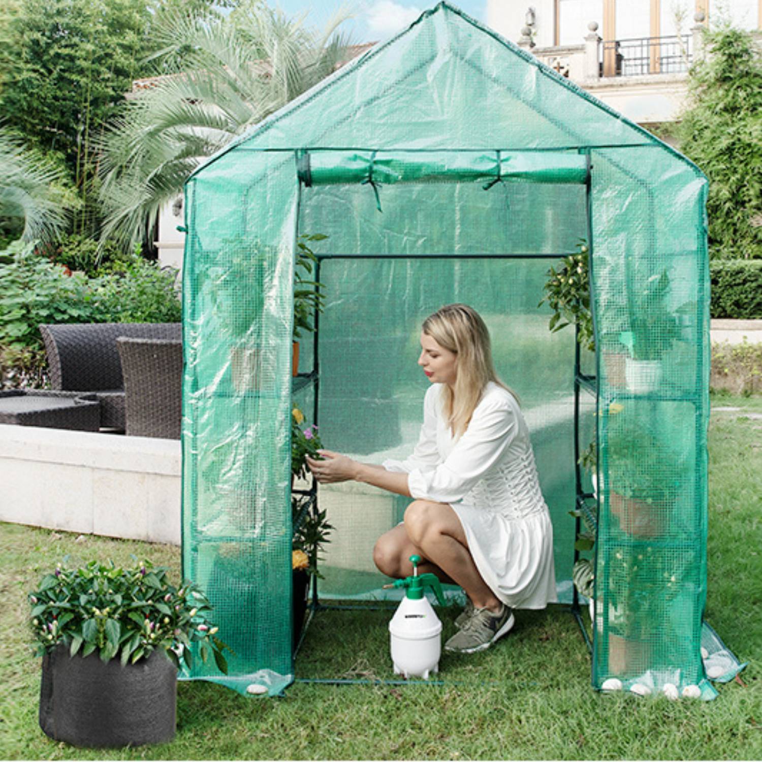 buy garden greenhouse